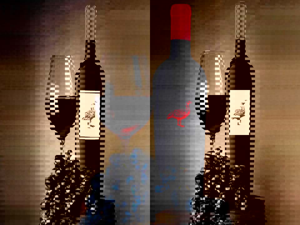  The Global Syrah Masters 2024