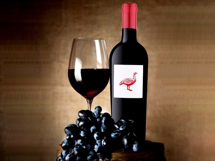 The Global Syrah Masters 2024 The Global Syrah Masters 2024
