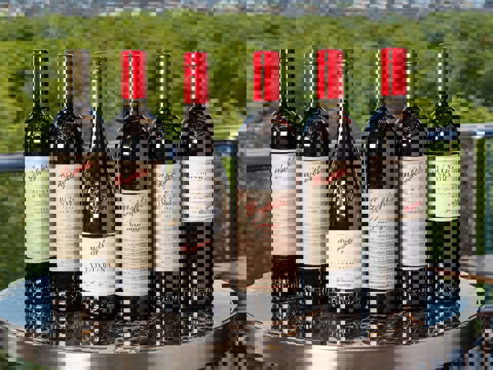  Penfolds Collection 2024 sẽ được phát hành vào ngày 1/8