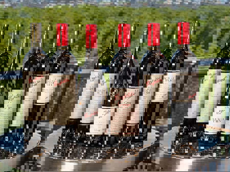 Penfolds Collection 2024 sẽ được phát hành vào ngày 1/8 Penfolds Collection 2024 sẽ được phát hành vào ngày 1/8