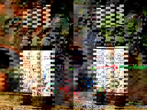 Sự khác nhau giữa rượu vang được làm từ nho hữu cơ và sản xuất hữu cơ là gì?