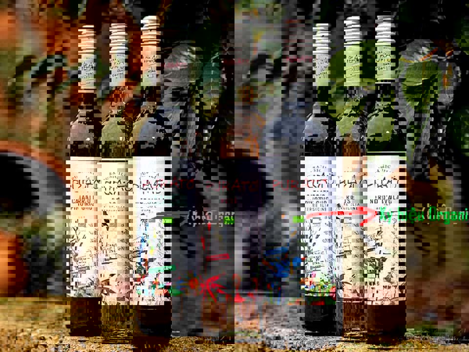 Sự khác nhau giữa rượu vang được làm từ nho hữu cơ và sản xuất hữu cơ là gì?