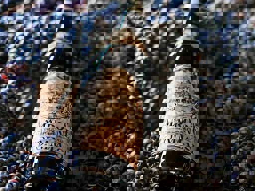 Sự khác nhau giữa phương pháp Ripasso và Appassimento trong sản xuất vang