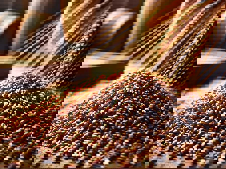 Rượu whisky có chứa Gluten không? Rượu whisky có chứa Gluten không?