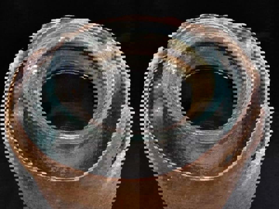 Chai rượu vang lâu đời nhất thế giới 