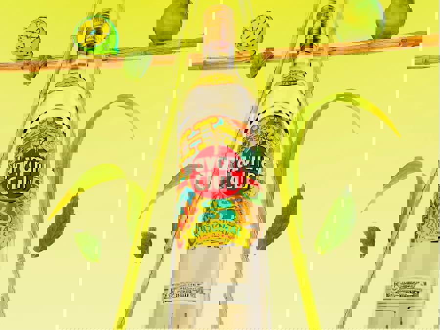 havana-club-trinh-lang-thiet-ke-chai-moi-cho-mua-he havana-club-trinh-lang-thiet-ke-chai-moi-cho-mua-he