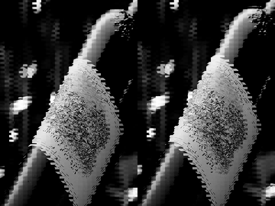 Sự khác nhau giữa Bodega, Chateau, Domaine và Estate là gì? 