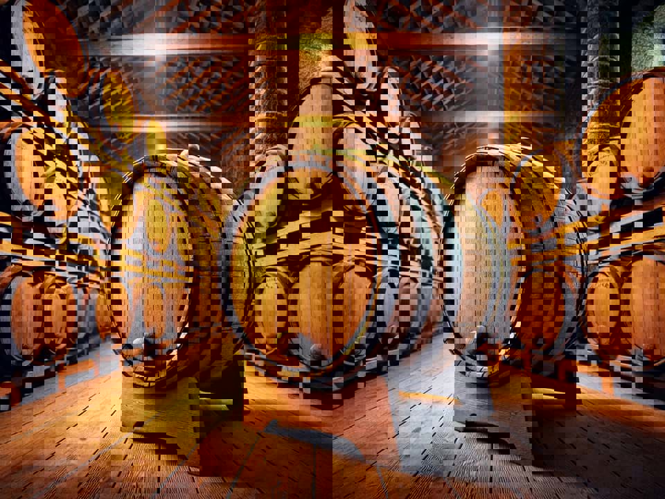 Tại sao hầu hết rượu vang được ủ trong gỗ sồi? 