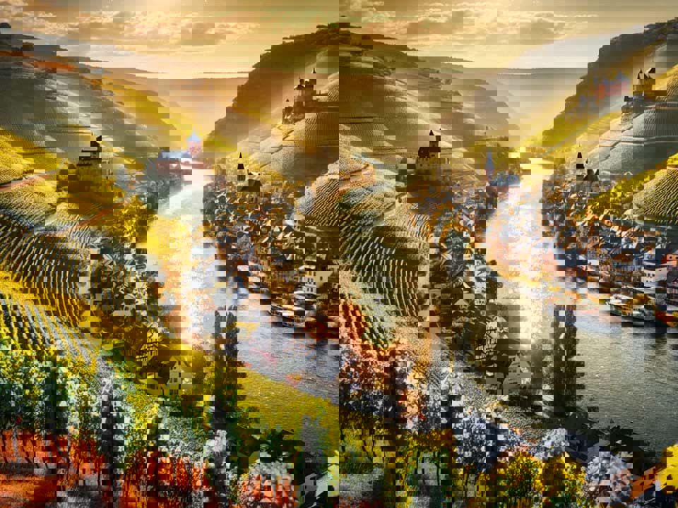 Thung lũng Mosel - vùng sản xuất rượu Riesling của Đức