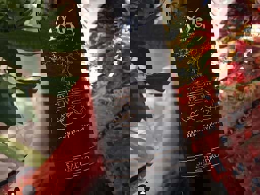 "Old vine" trên nhãn chai rượu vang có ý nghĩa gì? 