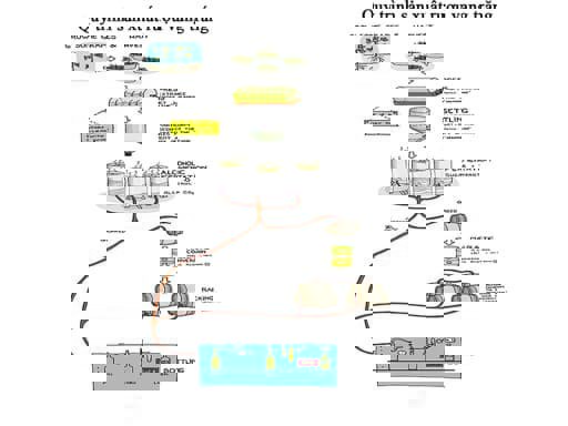 Quy trình sản xuất rượu vang trắng 