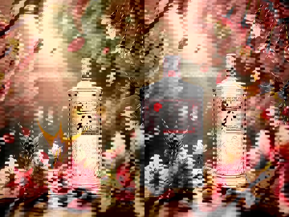 Roku Sakura Bloom Edition được phát hành cho mùa lễ hội 