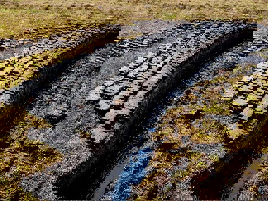 Làm thế nào rượu whisky có vị khói than bùn? Làm thế nào rượu whisky có vị khói than bùn?