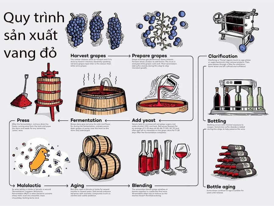 Quy trình sản xuất rượu vang đỏ 