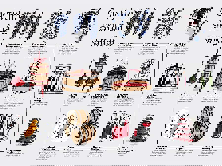 Quy trình sản xuất rượu vang đỏ Quy trình sản xuất rượu vang đỏ