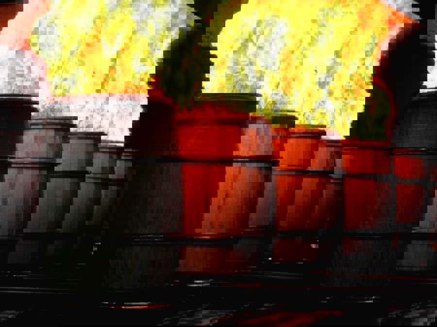 Tại sao thùng ủ rượu whisky lại được đốt nướng? Tại sao thùng ủ rượu whisky lại được đốt nướng?