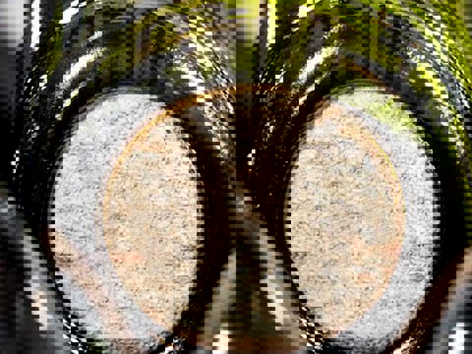 Quá trình trưởng thành rượu trong chai 