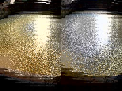 Quá trình lên men quan trọng như thế nào đối với rượu whisky?