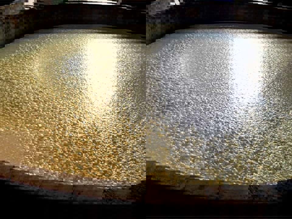 Quá trình lên men quan trọng như thế nào đối với rượu whisky?