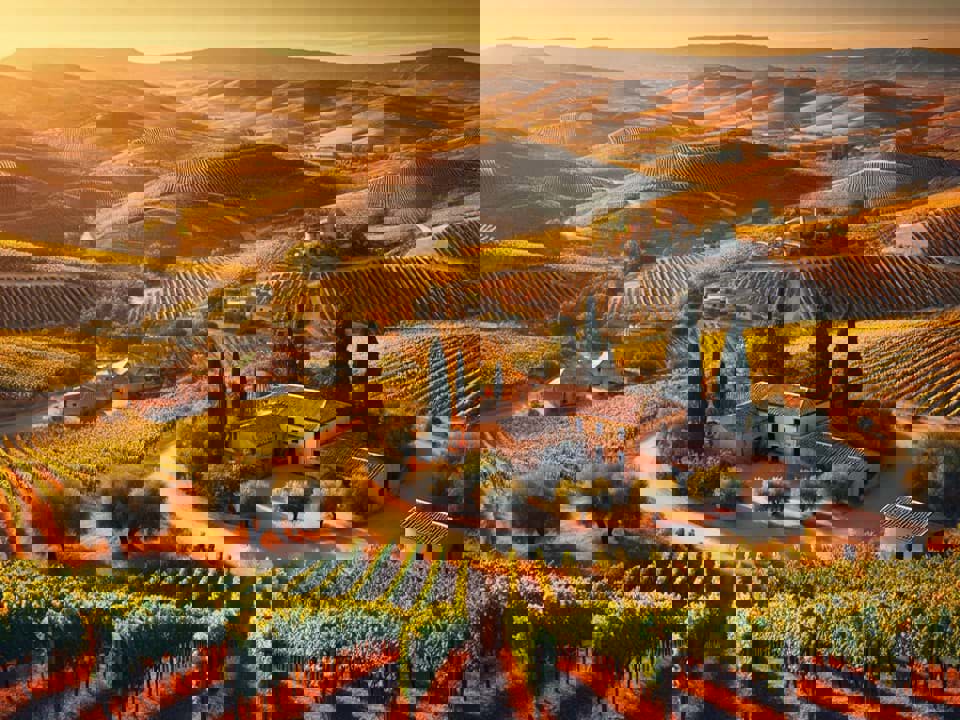 Các vùng rượu vang hành đầu Tây Ban Nha 