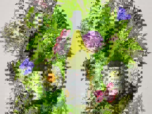 Top 16 loại rượu vang ngon nhất từ The Global Sauvignon Blanc Masters 2023