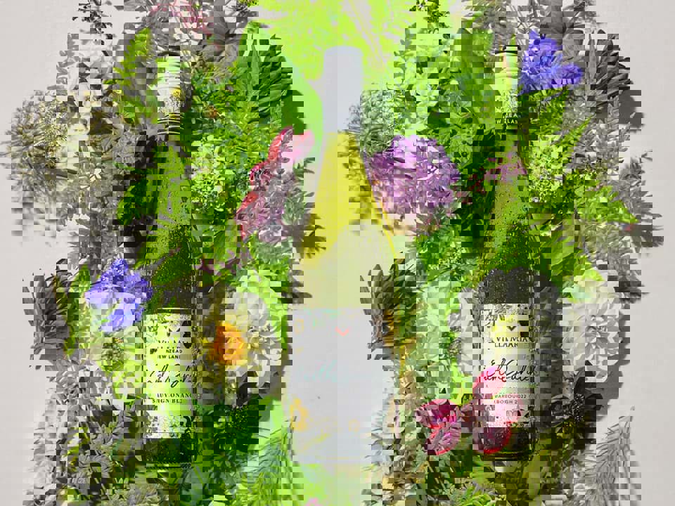 Top 16 loại rượu vang ngon nhất từ The Global Sauvignon Blanc Masters 2023