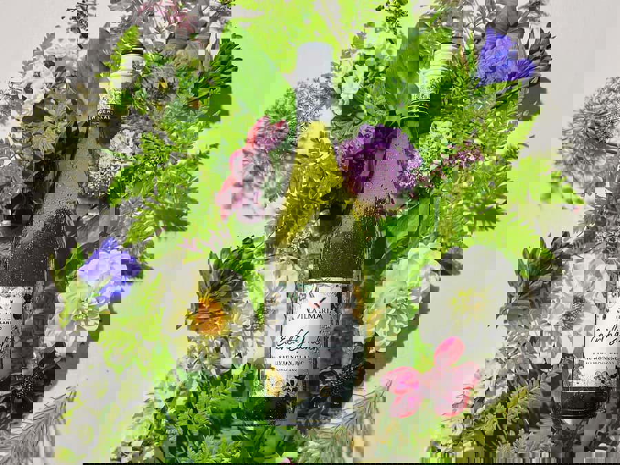 Top 16 loại rượu vang ngon nhất từ The Global Sauvignon Blanc Masters 2023 Top 16 loại rượu vang ngon nhất từ The Global Sauvignon Blanc Masters 2023