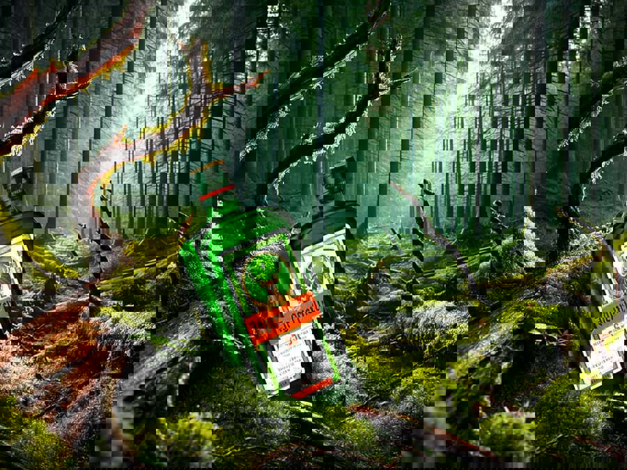 Doanh số Jagermeister tăng trưởng hai con số vào năm 2022 Doanh số Jagermeister tăng trưởng hai con số vào năm 2022