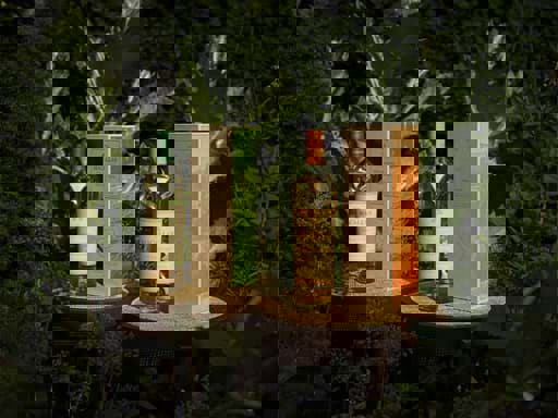 Macallan phát hành bộ sưu tập Harmony III