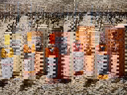 Bộ sưu tập The Macallan Colour 