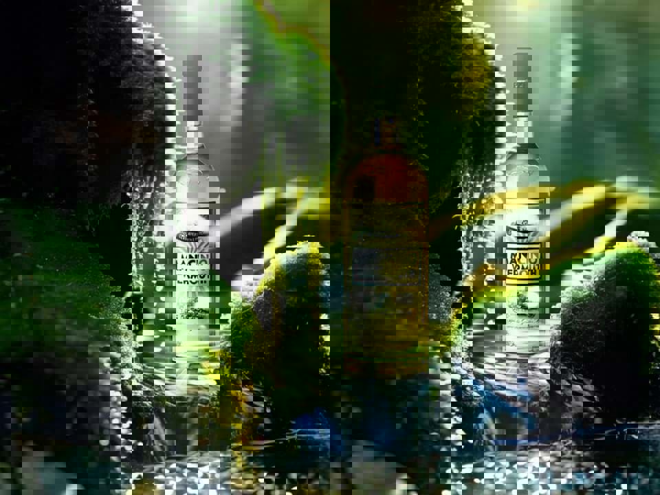 Khám phá phong cách của rượu Vermouth