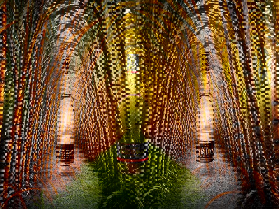 Top 10 thương hiệu rượu Rum bán chạy nhất năm 2022