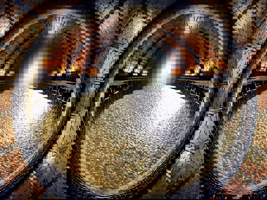 Các loại men rượu: phả hệ và đặc tính Các loại men rượu: phả hệ và đặc tính