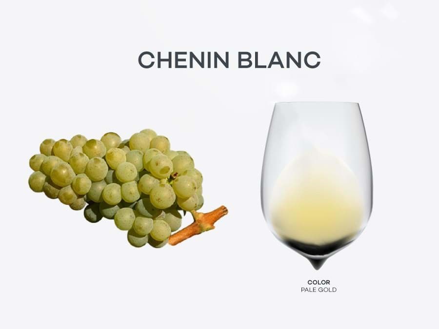 Chenin Blanc