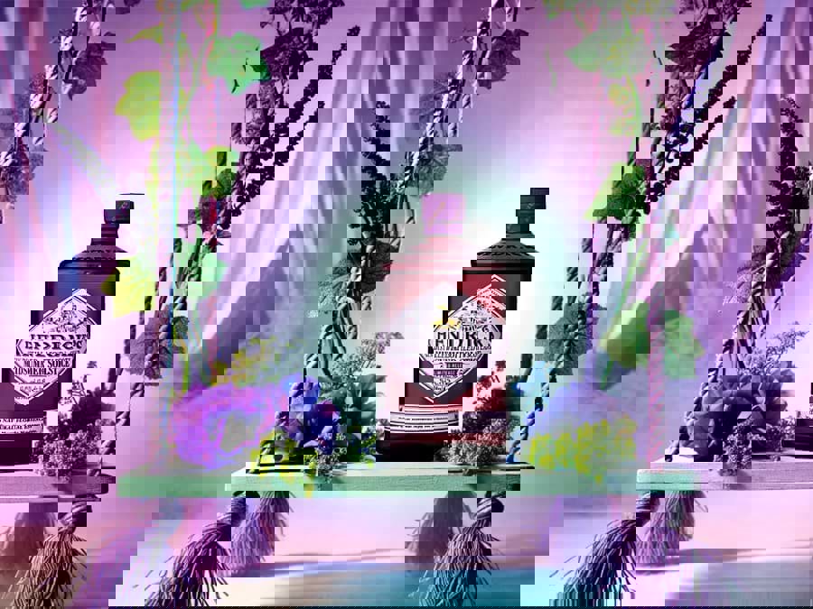 Top 9 thương hiệu Gin bán chạy nhất năm 2023 Top 9 thương hiệu Gin bán chạy nhất năm 2023