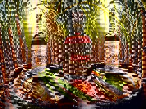 Diageo mua lại thương hiệu Don Papa Rum với giá 260 triệu Euro