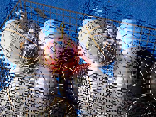 Hennessy Paradis x Lorenz Baumer