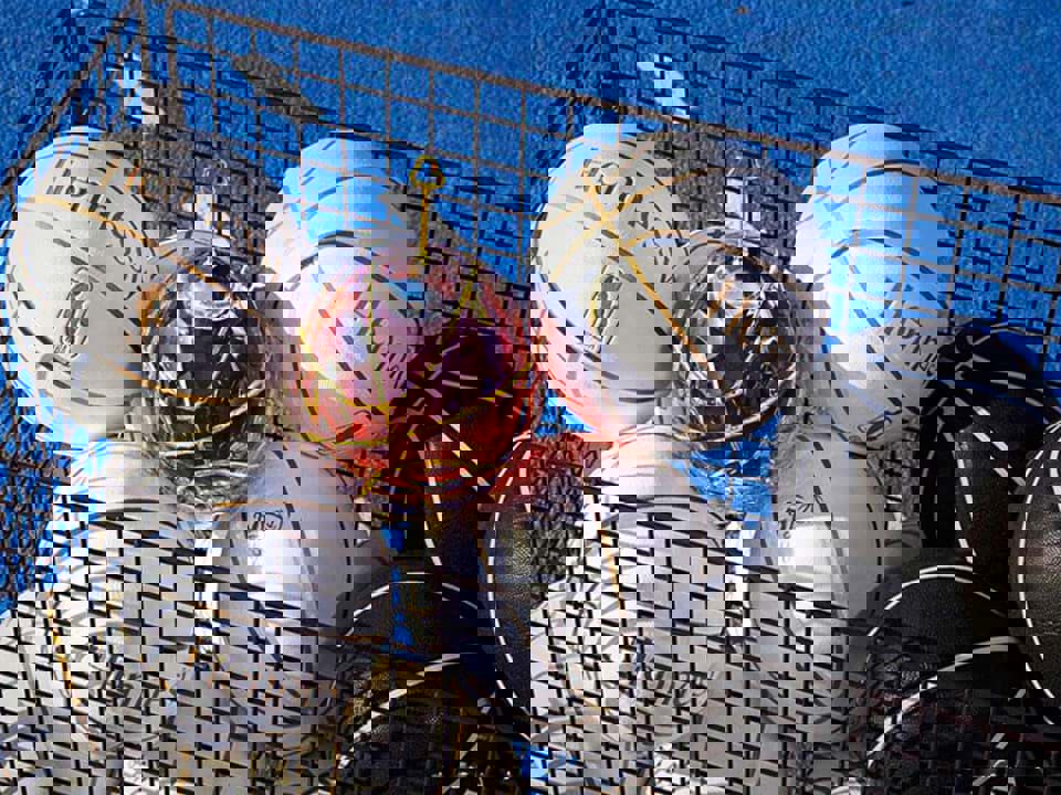 Hennessy Paradis x Lorenz Baumer