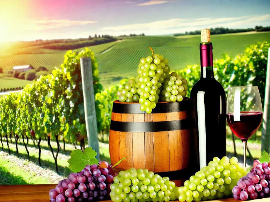 20 vùng sản xuất rượu vang Ý 20 vùng sản xuất rượu vang Ý