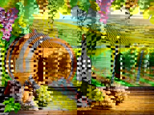 Những điều cơ bản bạn cần biết về rượu vang