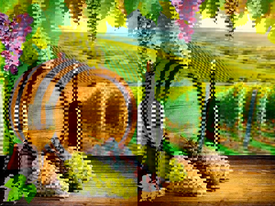 Những điều cơ bản bạn cần biết về rượu vang