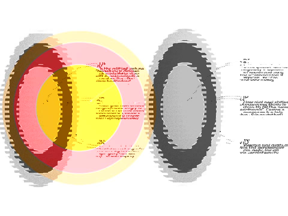 Các phân hạng của rượu vang Tây Ban Nha 