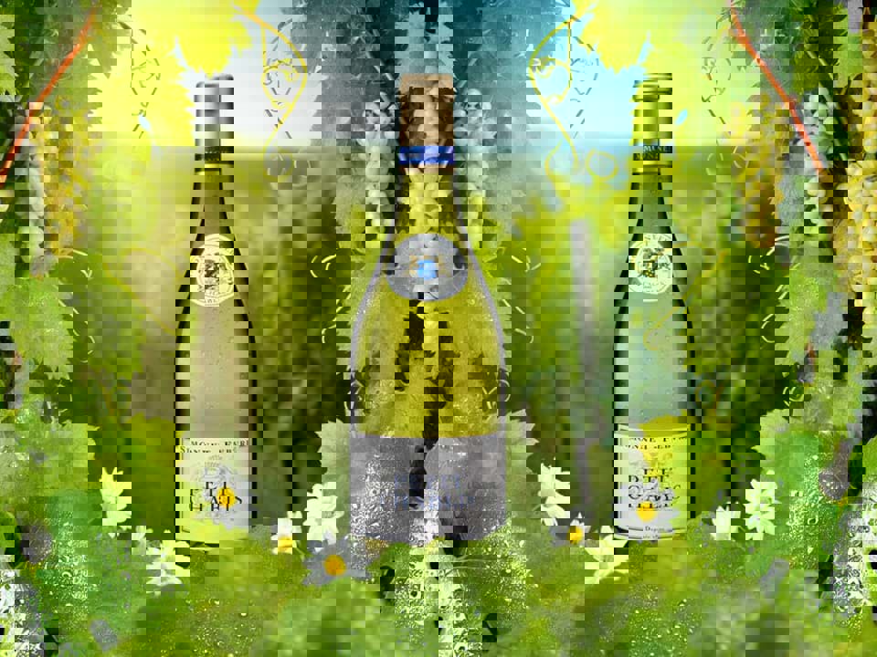 Cách đọc nhãn chai rượu vang Pháp 