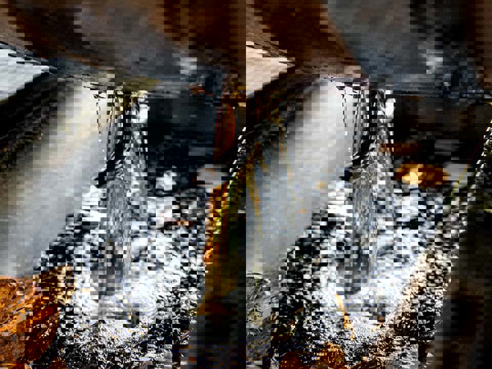 Quy trình Lincoln County đã định dạng cho rượu whisky Tennessee