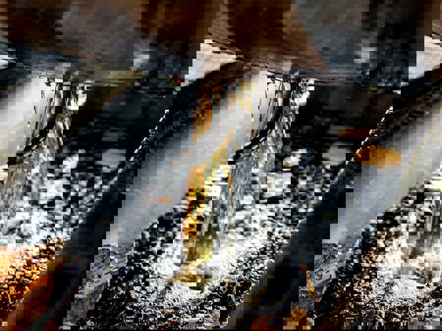 Quy trình Lincoln County đã định dạng cho rượu whisky Tennessee Quy trình Lincoln County đã định dạng cho rượu whisky Tennessee