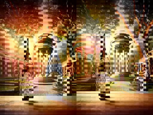 Điều gì tạo nên sự đặc biệt cho rượu vang Amarone 