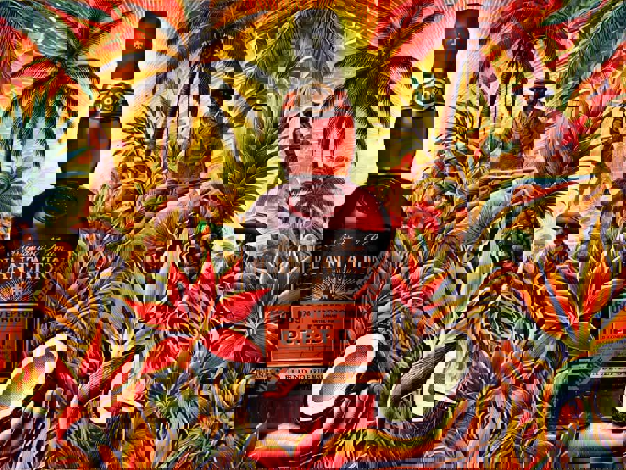 Overproof có nghĩa là gì Overproof có nghĩa là gì