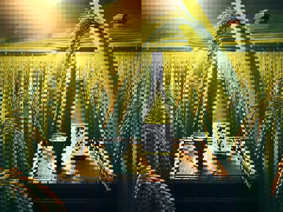 Lịch sử ngắn về sản xuất rượu Sake 