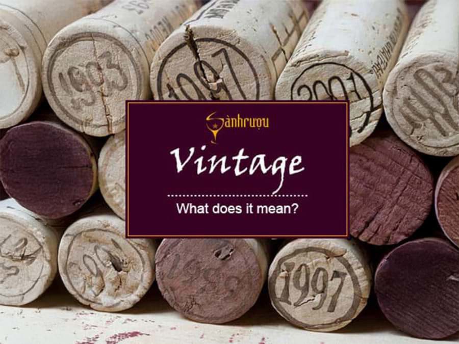 Đối với người thưởng vang, khái niệm niên vụ/vintage là yếu tố quan trọng và được chú ý cho việc ra quyết định thưởng thức, mua sắm hay lưu trữ. Tuy nhiên đối với những vị mới tiếp cận rượu vang thì còn bỡ ngỡ với thuật ngữ này. Sau đây Sành rượu giúp quý vị hiểu thêm niên vụ/vintage là gì và tầm quan trọng của thông số này. Đối với người thưởng vang, khái niệm niên vụ/vintage là yếu tố quan trọng và được chú ý cho việc ra quyết định thưởng thức, mua sắm hay lưu trữ. Tuy nhiên đối với những vị mới tiếp cận rượu vang thì còn bỡ ngỡ với thuật ngữ này. Sau đây Sành rượu giúp quý vị hiểu thêm niên vụ/vintage là gì và tầm quan trọng của thông số này.