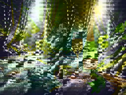 Nhiệt độ lý tưởng để phục vụ vang trắng 